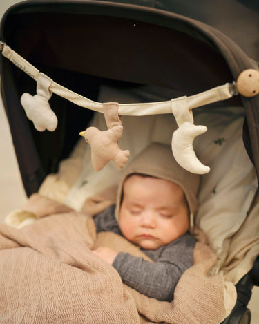 Kinderwagen Speelgoed